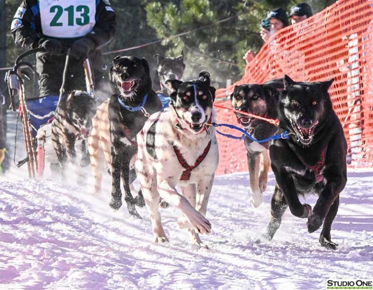 Northern Pines Sled Dog Race, NPSDR in Iron River WI