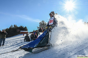 Northern Pines Sled Dog Race, NPSDR in Iron River WI