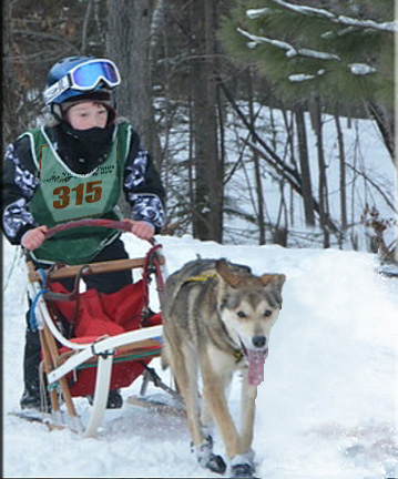 NPSDR Mutt Run in Iron River WI, Northern Pines Sled Dog Race, Iron River WI., NPSDR, sled dogs, dog mushing, snow sleds, mushing