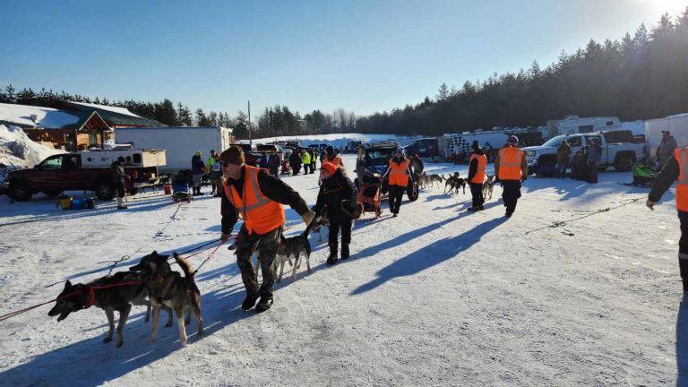 Northern Pines Sled Dog Race, Iron River WI., NPSDR, sled dogs, dog mushing, snow sleds, mushing