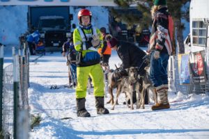 Northern Pines Sled Dog Race, Iron River WI., NPSDR, sprint race, sled dogs, dog mushing, snow sleds, mushing