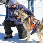 Northern Pines Sled Dog Race, Iron River WI., NPSDR, weight pulling, sprint race, sled dogs, dog mushing, snow sleds, mushing