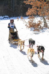 Northern Pines Sled Dog Race, Iron River WI., NPSDR, sprint race, sled dogs, dog mushing, snow sleds, mushing