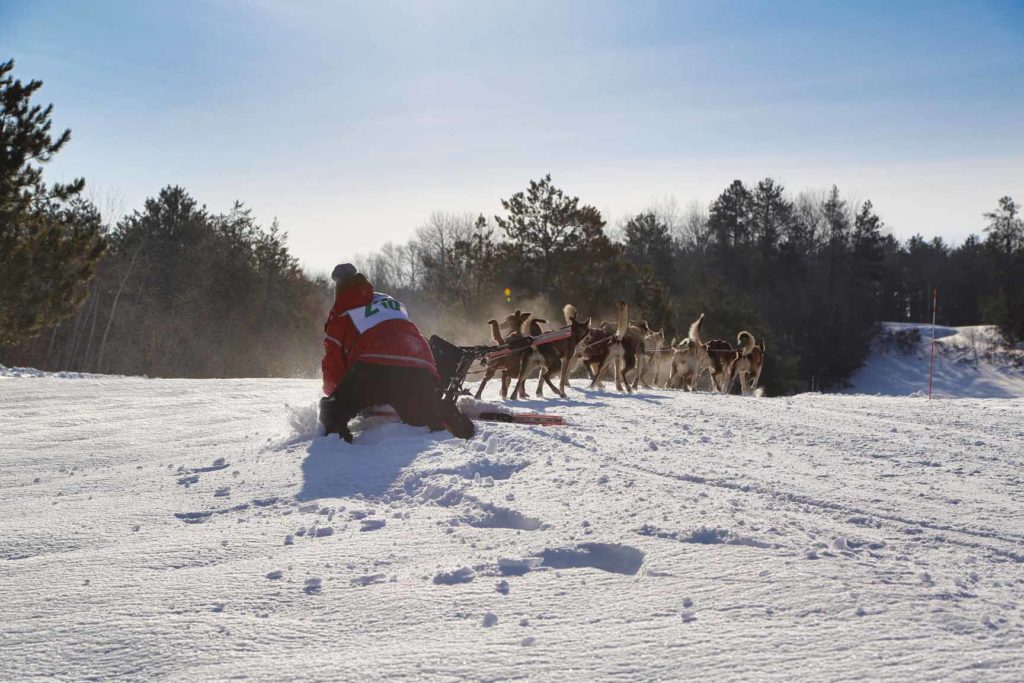 Northern Pines Sled Dog Race, Iron River WI., NPSDR, sprint race, sled dogs, dog mushing, snow sleds, mushing