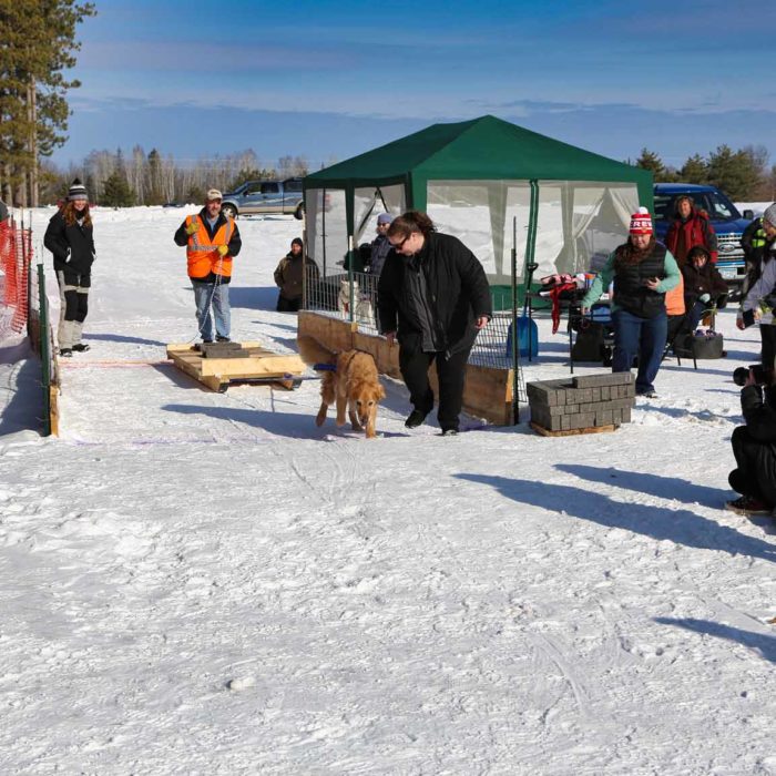 Northern Pines Sled Dog Race, Iron River WI., NPSDR, weight pulling, sprint race, sled dogs, dog mushing, snow sleds, mushing