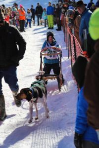 Northern Pines Sled Dog Race, Iron River WI., NPSDR, sled dogs, dog mushing, snow sleds, mushing