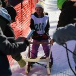 Northern Pines Sled Dog Race, Iron River WI., NPSDR, sled dogs, dog mushing, snow sleds, mushing