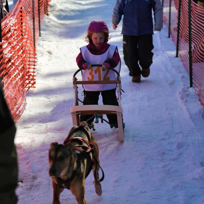 Northern Pines Sled Dog Race. Sprint and Mid-Distance races, W3PO Sanctioned Weight Pull and Kids Fun Mutt Run, are all at the Event Center in Iron River, WI.