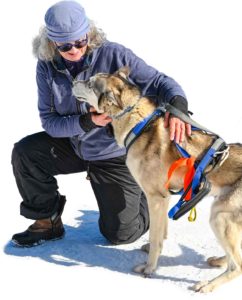 Northern Pines Sled Dog Race, Iron River WI., NPSDR, weight pulling, sprint race, sled dogs, dog mushing, snow sleds, mushing