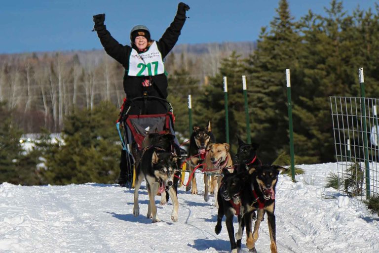 Northern Pines Sled Dog Race. Sprint Racing at NPSDR