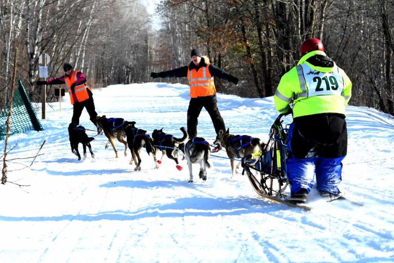 Northern Pines Sled Dog Race. Sprint and Mid-Distance races, W3PO Sanctioned Weight Pull and Kids Fun Mutt Run, are all at the Event Center in Iron River, WI.