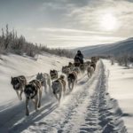 Northern Pines Sled Dog Race - AI Generated Art