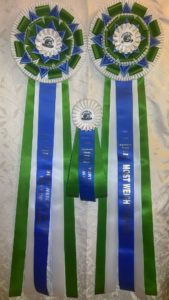 Northern Pines Sled Dog Race - Weight Pull Event Rosettes