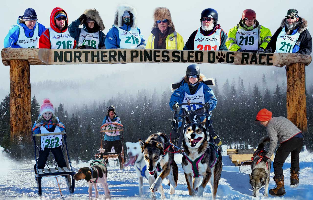 Northern Pines Sled Dog Race