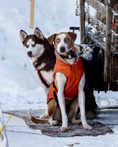 Northern Pines Sled Dog Race