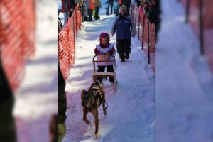 Northern Pines Sled Dog Race in Iron River WI