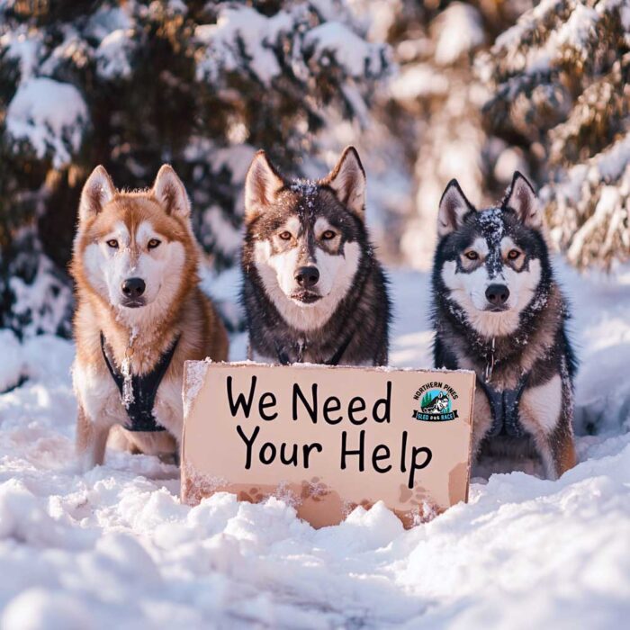 Northern Pines Sled Dog Race in Iron River WI. We Need Your Help.