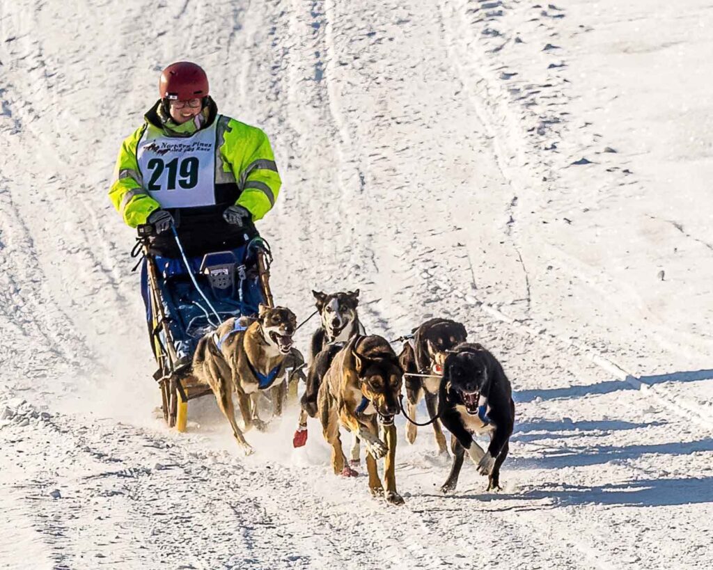 Melissa Mendelson at the Northern Pines Sled Dog Race