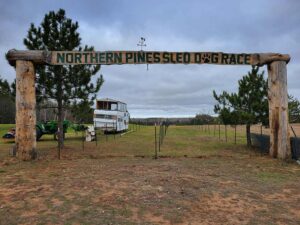 2025 Painted Northern Pines Sled Dog Race Arch