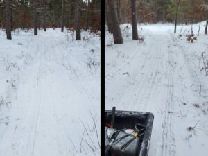 Northern Pines Sled Dog Race - Trail Work 2025