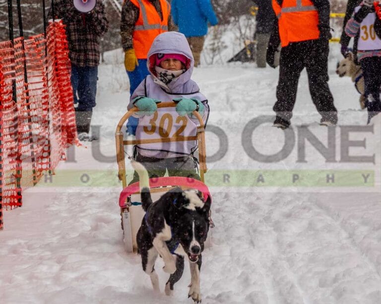 Northern Pines Sled Dog Race, NPSDR, Sprint and Mid-Distance Dog Racing, W3PO Weight Pull and Kids Fun Mutt Run in Iron River WI. Lets go dog mushing.