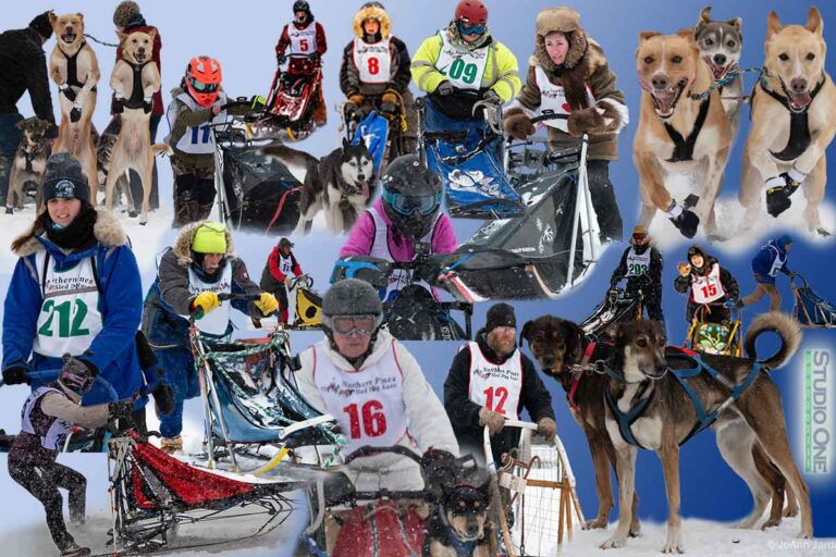 Northern Pines Sled Dog Race, NPSDR, Sprint and Mid-Distance Dog Racing, W3PO Weight Pull and Kids Fun Mutt Run in Iron River WI. Lets go dog mushing.