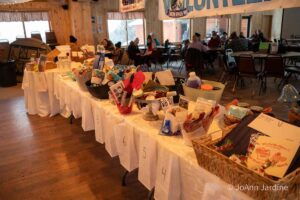 Northern Pines Sled Dog Race, Iron River WI., 2025