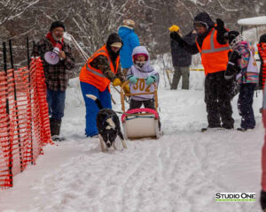 Northern Pines Sled Dog Race, Kids Fun Mutt Run, Iron River WI., 2025
