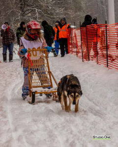 Northern Pines Sled Dog Race, Kids Fun Mutt Run, Iron River WI., 2025