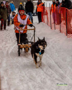 Northern Pines Sled Dog Race, Kids Fun Mutt Run, Iron River WI., 2025