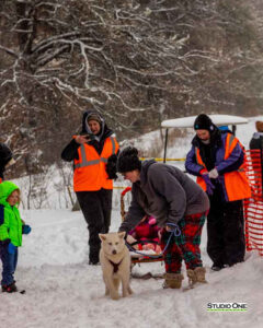 Northern Pines Sled Dog Race, Kids Fun Mutt Run, Iron River WI., 2025