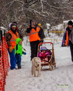 Northern Pines Sled Dog Race, Kids Fun Mutt Run, Iron River WI., 2025