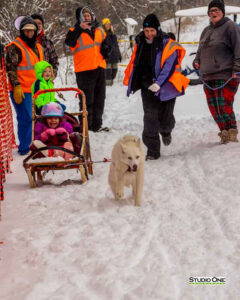 Northern Pines Sled Dog Race, Kids Fun Mutt Run, Iron River WI., 2025