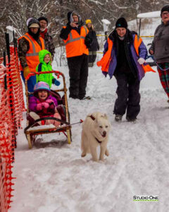 Northern Pines Sled Dog Race, Kids Fun Mutt Run, Iron River WI., 2025