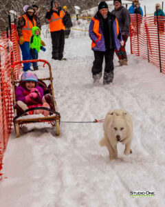 Northern Pines Sled Dog Race, Kids Fun Mutt Run, Iron River WI., 2025