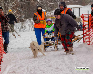 Northern Pines Sled Dog Race, Kids Fun Mutt Run, Iron River WI., 2025