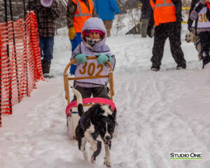 Northern Pines Sled Dog Race, Kids Fun Mutt Run, Iron River WI., 2025