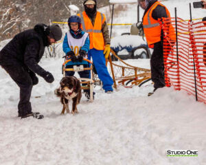 Northern Pines Sled Dog Race, Kids Fun Mutt Run, Iron River WI., 2025