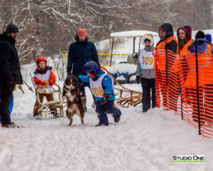 Northern Pines Sled Dog Race, Kids Fun Mutt Run, Iron River WI., 2025