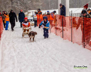 Northern Pines Sled Dog Race, Kids Fun Mutt Run, Iron River WI., 2025