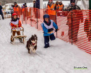 Northern Pines Sled Dog Race, Kids Fun Mutt Run, Iron River WI., 2025