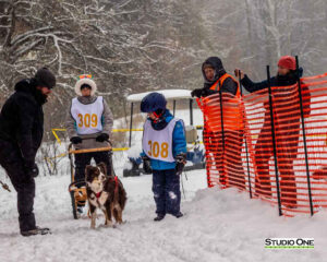 Northern Pines Sled Dog Race, Kids Fun Mutt Run, Iron River WI., 2025