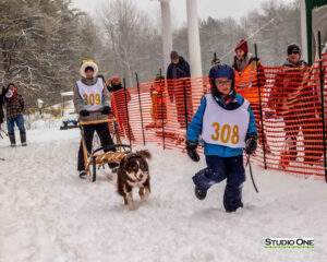 Northern Pines Sled Dog Race, Kids Fun Mutt Run, Iron River WI., 2025