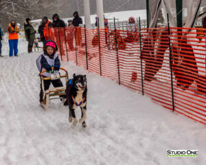 Northern Pines Sled Dog Race, Kids Fun Mutt Run, Iron River WI., 2025