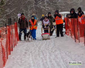 Northern Pines Sled Dog Race, Kids Fun Mutt Run, Iron River WI., 2025