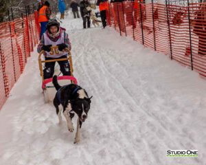 Northern Pines Sled Dog Race, Kids Fun Mutt Run, Iron River WI., 2025