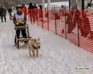 Northern Pines Sled Dog Race, Kids Fun Mutt Run, Iron River WI., 2025