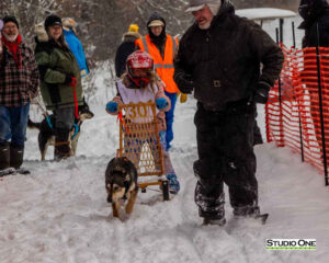 Northern Pines Sled Dog Race, Kids Fun Mutt Run, Iron River WI., 2025