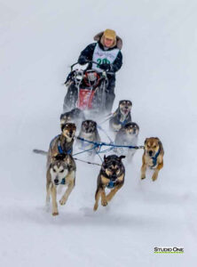 Northern Pines Sled Dog Race, Iron River WI., 2025