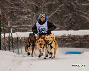 Northern Pines Sled Dog Race, Iron River WI., 2025